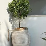 Domani Apartament Omiš