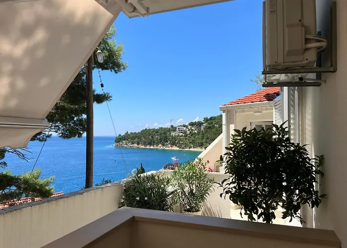 Domani Omis