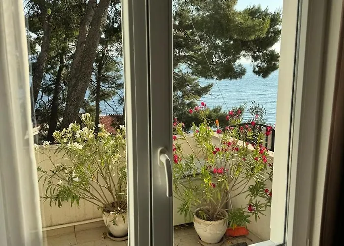 Domani Omis