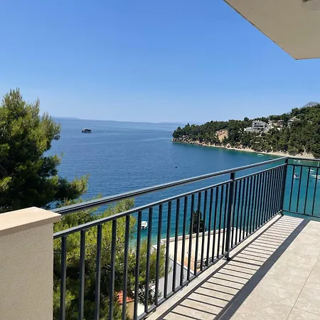 Domani Omis
