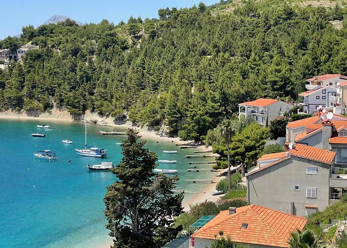 Domani Omis