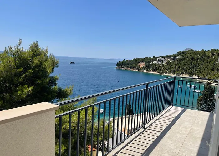 Domani Omis